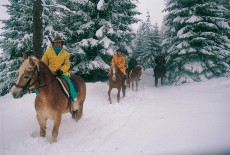 Folgaria - Ausflug mit Pferden